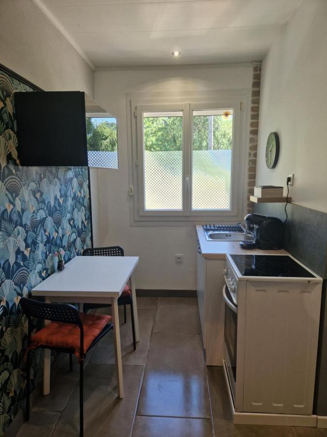 Appartement Independant Dans Maison Avec Jardinet, Au Calme Sérézin-du-Rhône Eksteriør bilde