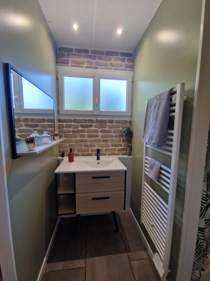 Appartement Independant Dans Maison Avec Jardinet, Au Calme Sérézin-du-Rhône Eksteriør bilde